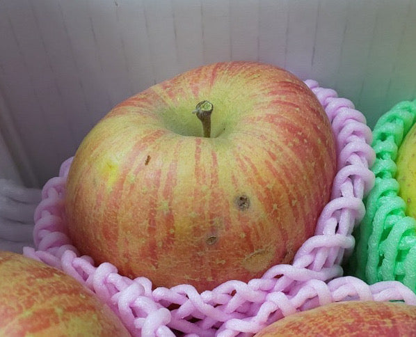 サンフジ(福島のりんご)【ご家庭向け】