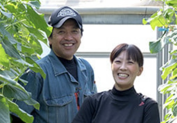 大崎上島産 越田さんの「無農薬青パパイヤ」