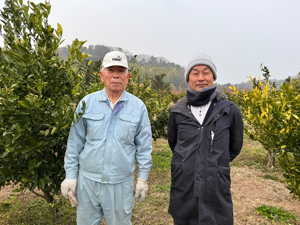 【訳あり】大崎上島の石地みかん