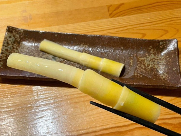 竹島(三島村)の大名筍