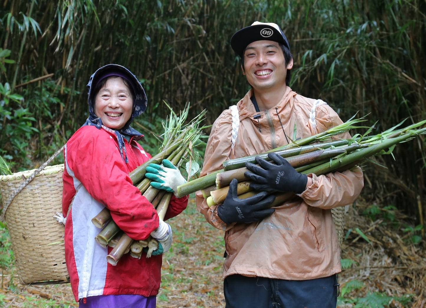 竹島(三島村)の大名筍