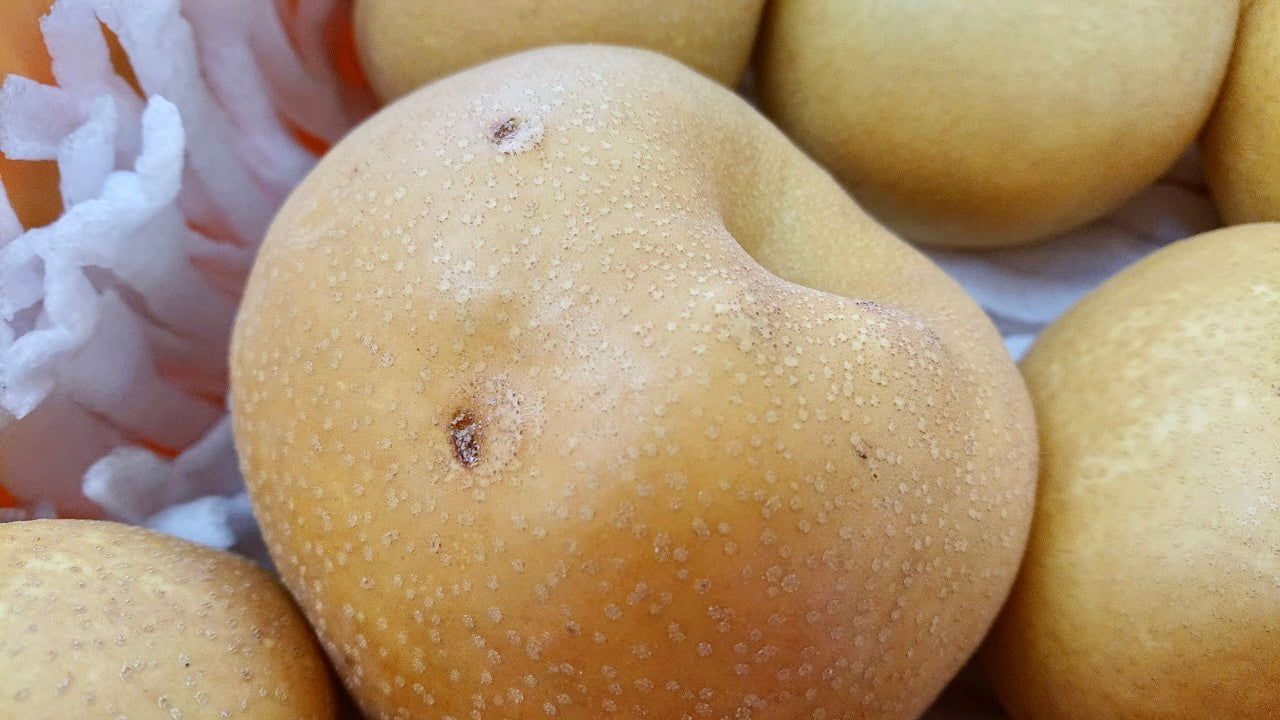 【訳あり】雹害の中生き残った梨「幸水」