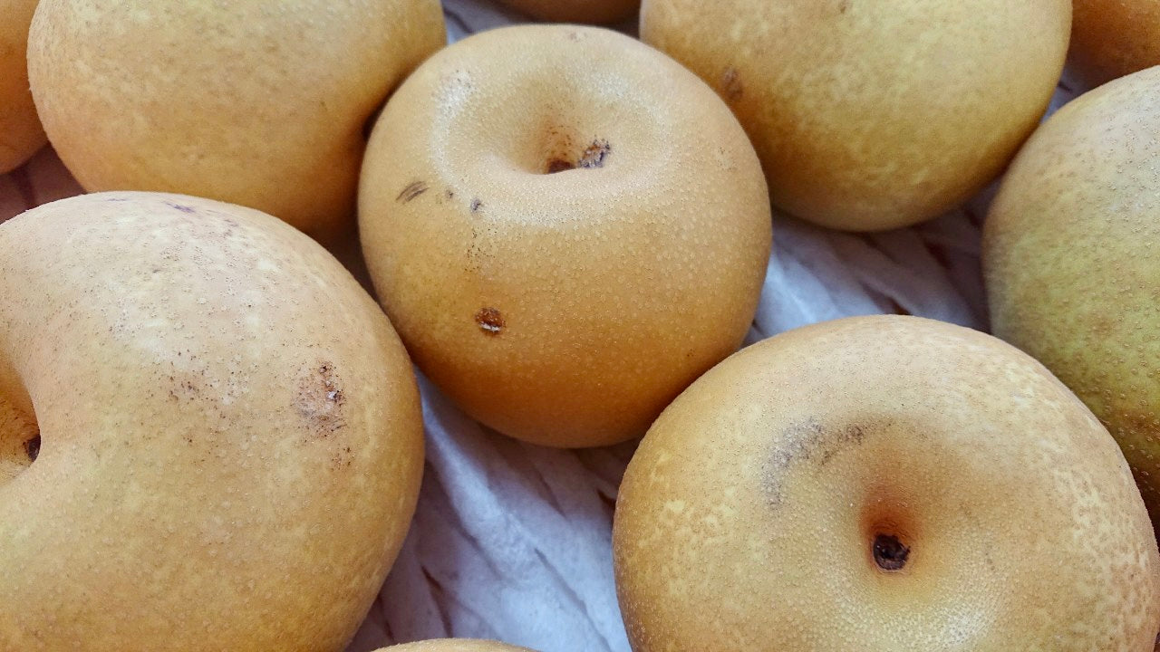 【訳あり】雹害の中生き残った梨「幸水」