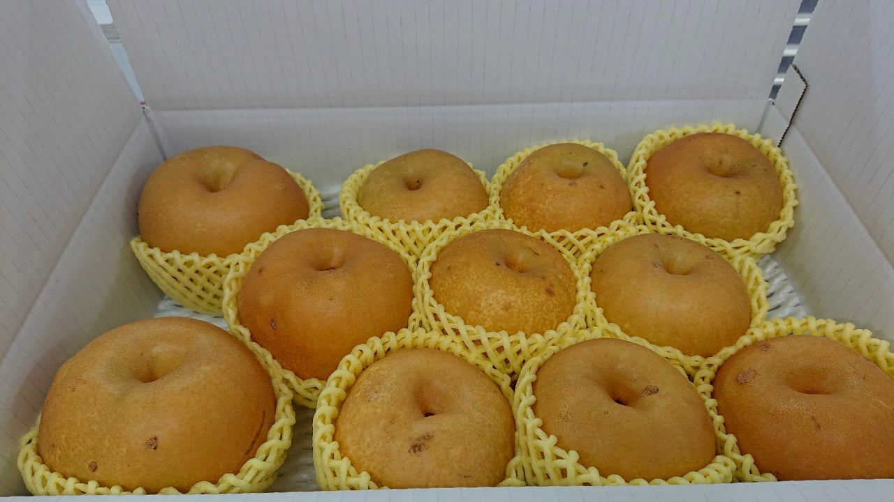 【訳あり】雹害の中生き残った梨「幸水」