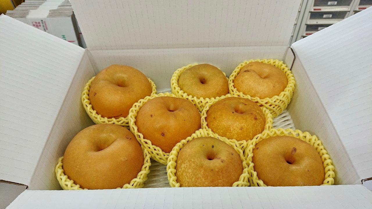 【訳あり】雹害の中生き残った梨「幸水」