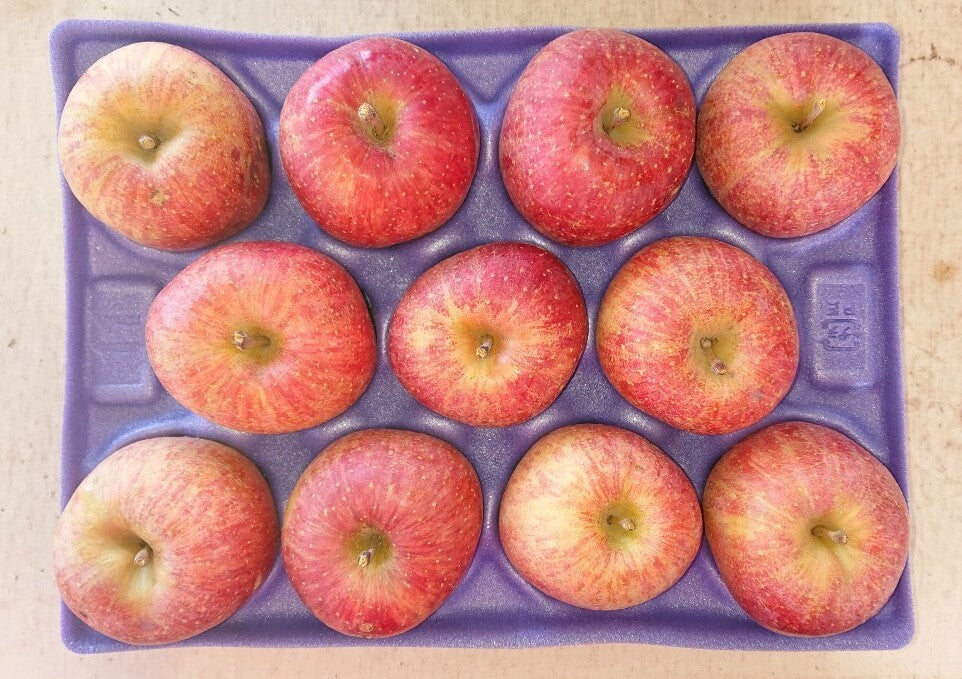 ※ラストセール※サンふじ(りんご)【雹害訳あり】