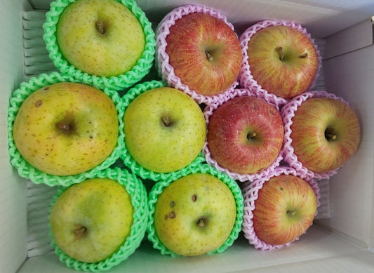 サンふじ&青林(りんご)セット【雹害訳あり】