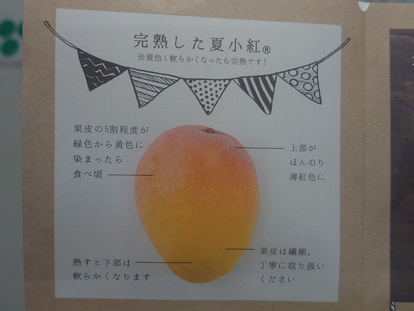 西表島の夏小紅(マンゴー)
