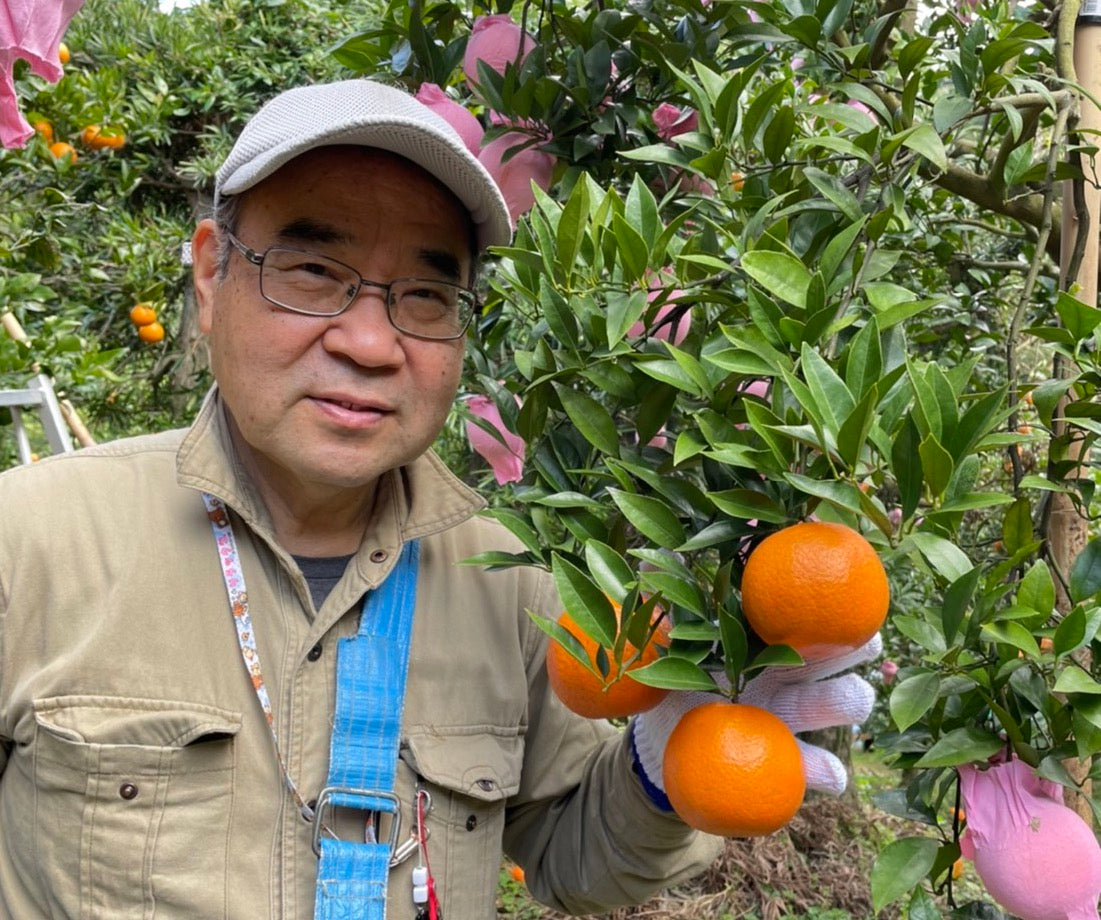 卓郎さんのたんかん(種子島)※3月上旬頃より配送開始