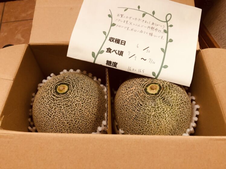 【予約】大玉タカミメロン4L以上(青玉)※6月中旬〜配送開始