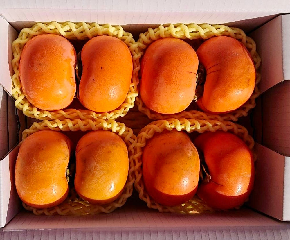 利根早生柿(福島県産)