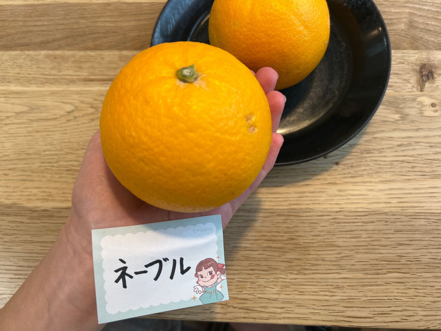 ネーブルの通販・お取り寄せ・産地直送