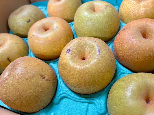 【家庭用】村越さんのおまかせ旬の梨　（千葉県産）