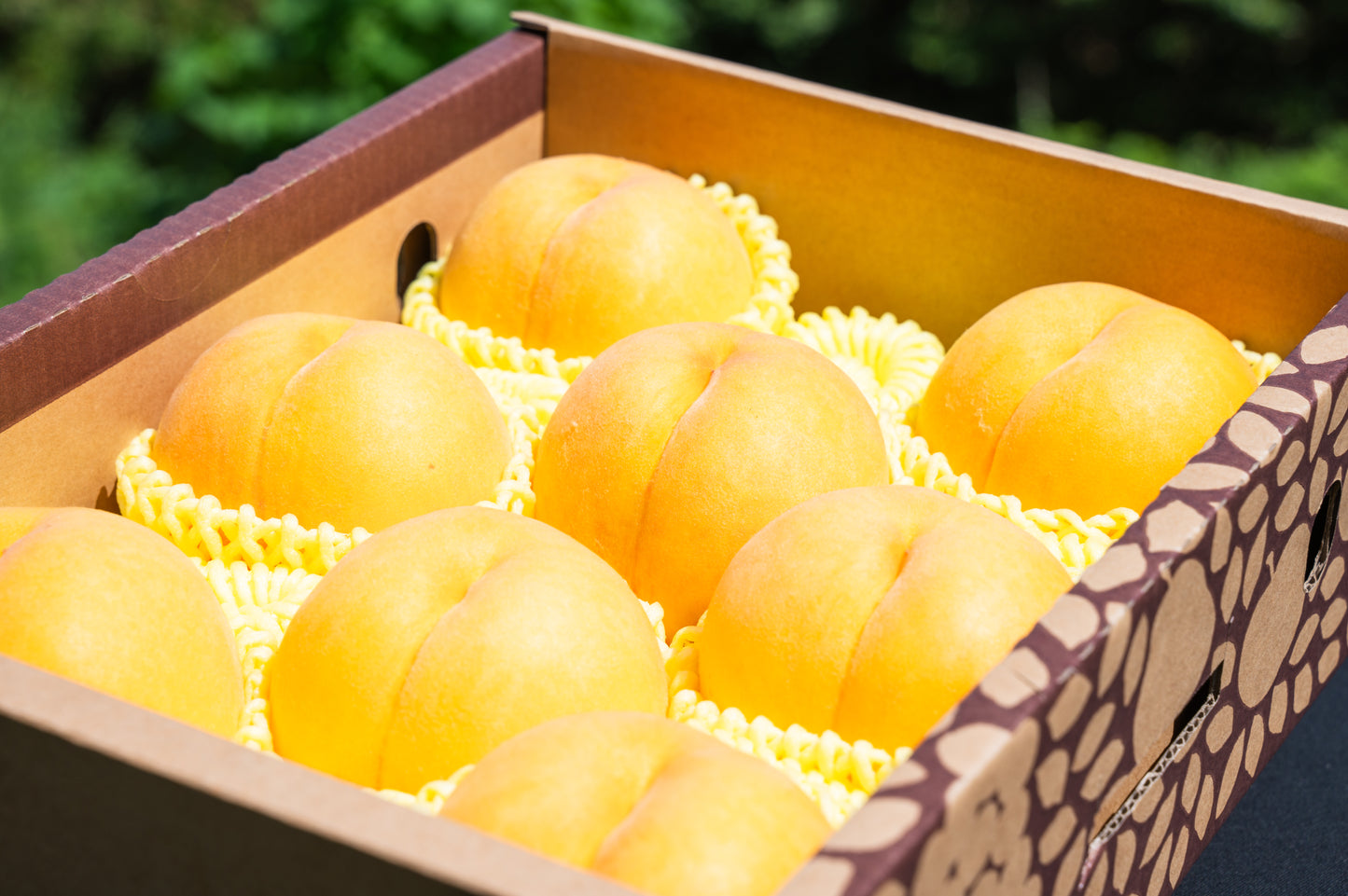 【秀品】硬め黄桃（品種おまかせ山形産）※8月下旬〜10月上旬お届け