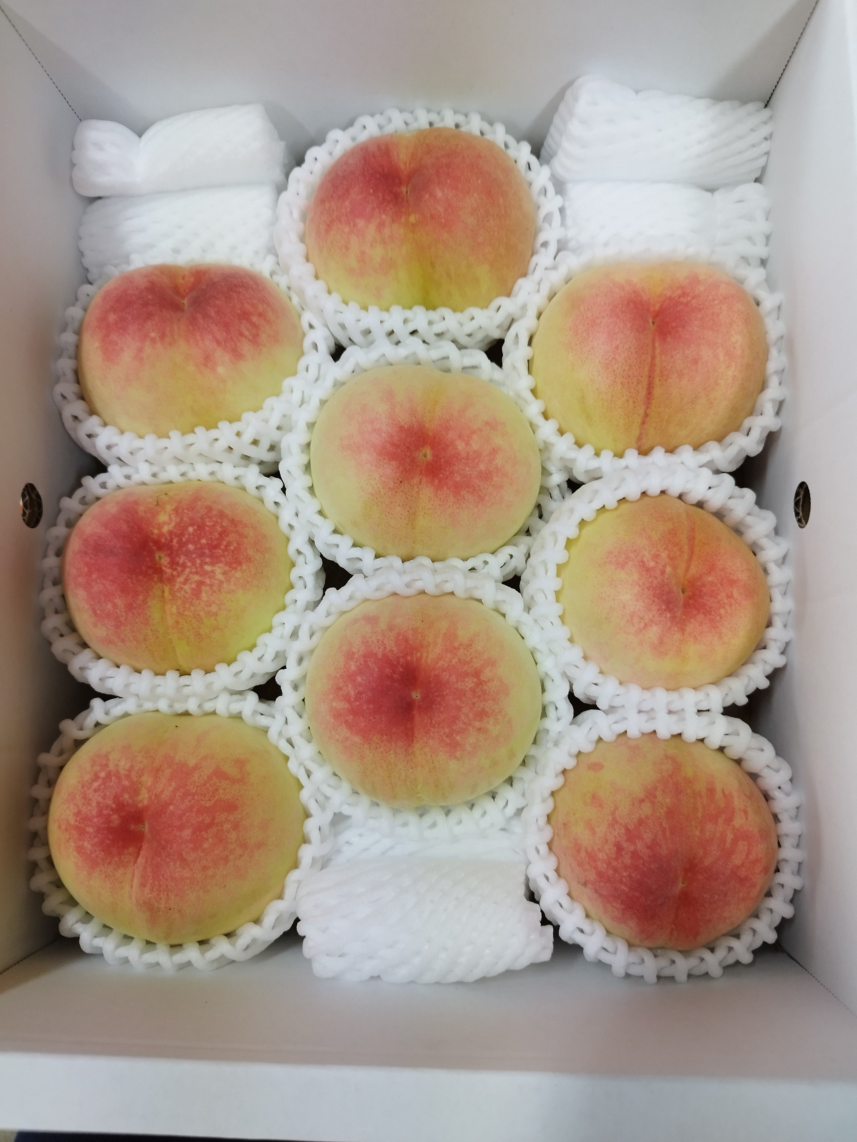 岡山県産一宮ブランド白鳳家庭用