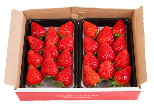 【年内発送・家庭用】小川さんの章姫（あきひめ）※11月20日頃から配送開始