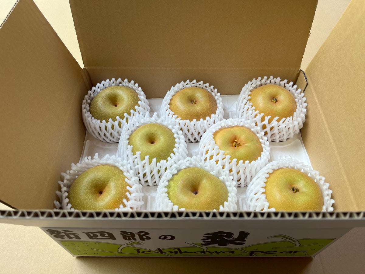 【秀品】おまかせ梨２品種食べ比べセット （千葉県産）