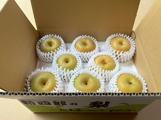 【秀品】おまかせ梨２品種食べ比べセット （千葉県産）