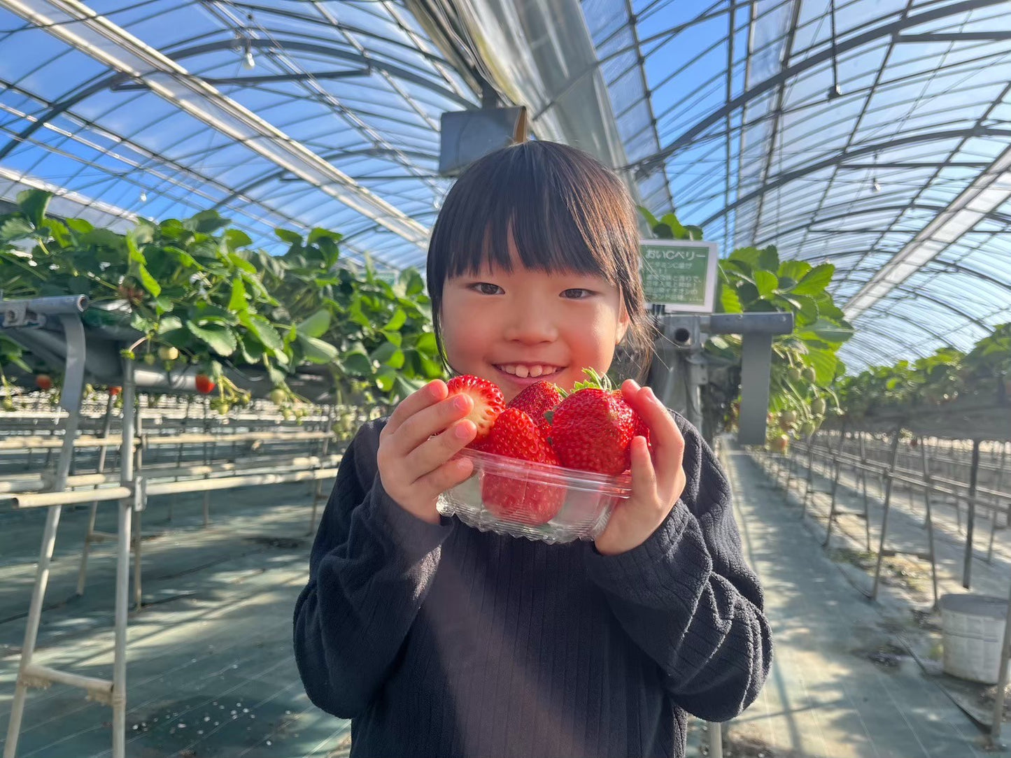 【家庭用】小川さんの紅ほっぺ※1月5日頃から配送開始予定