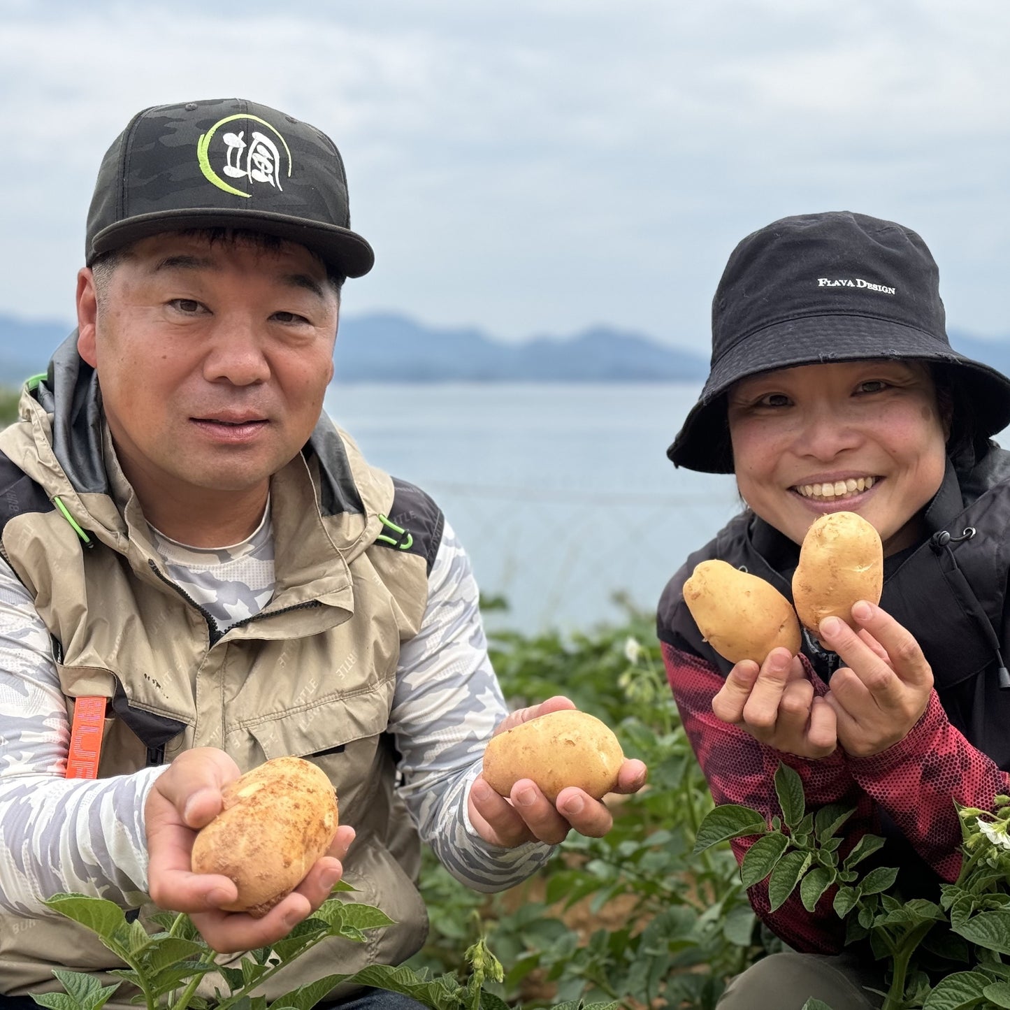 赤土じゃがいも（瀬戸内安芸津産）※11月下旬頃〜配送開始予定