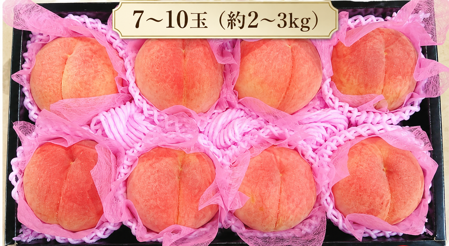 【贈答用】ゆうくんの川中島白桃