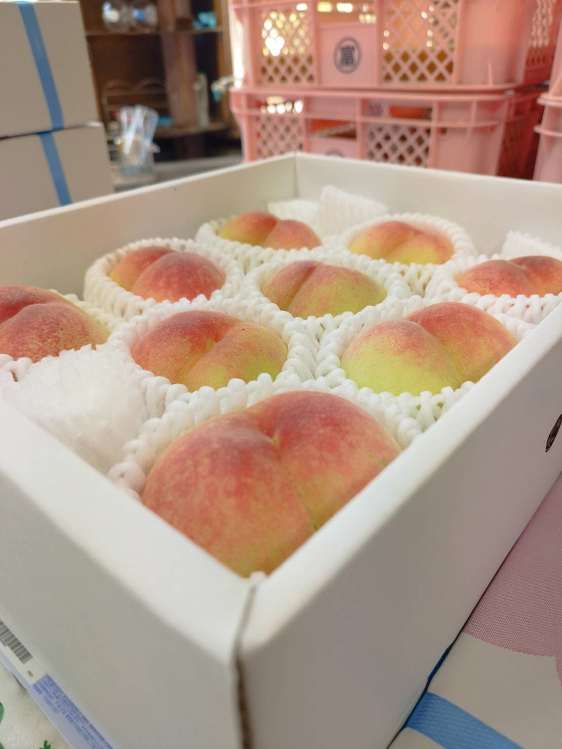 日川白鳳（岡山県産）※6月中下旬頃〜配送開始予定