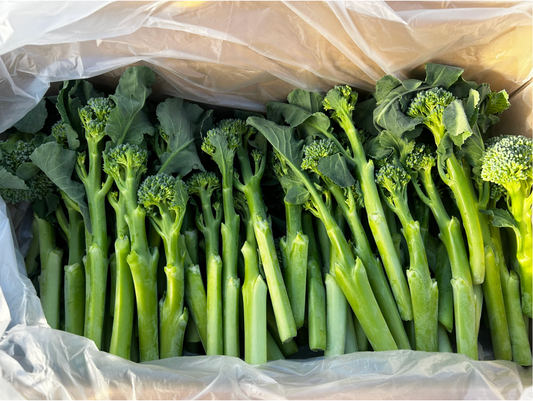 うとさんちのスティックブロッコリー※5月下旬頃〜配送開始予定　