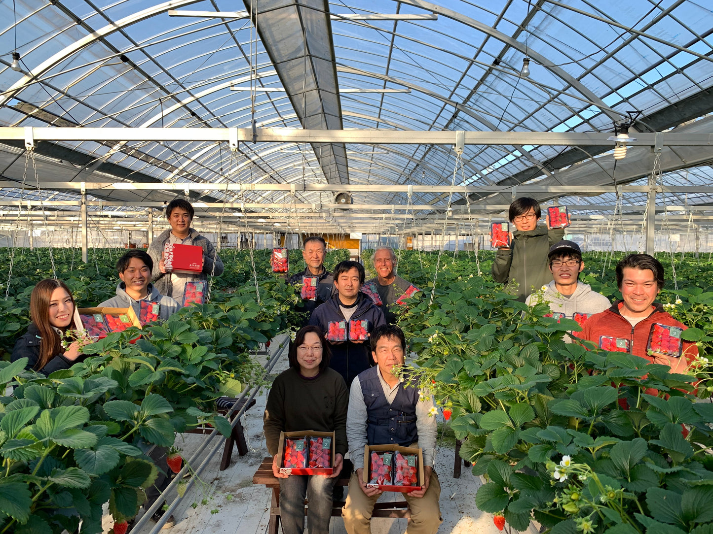 【家庭用】小川さんの紅ほっぺ※1月5日頃から配送開始予定