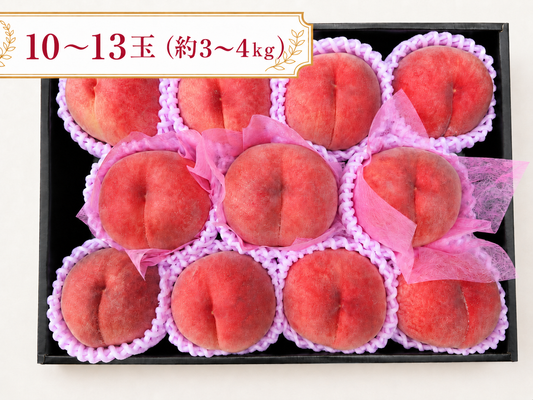 【贈答用】ゆうくんのあかつき※7月20日頃〜配送開始予定