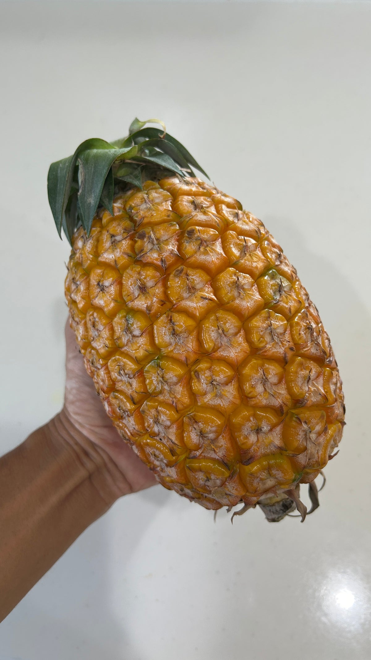 西表島のサンドルチェ