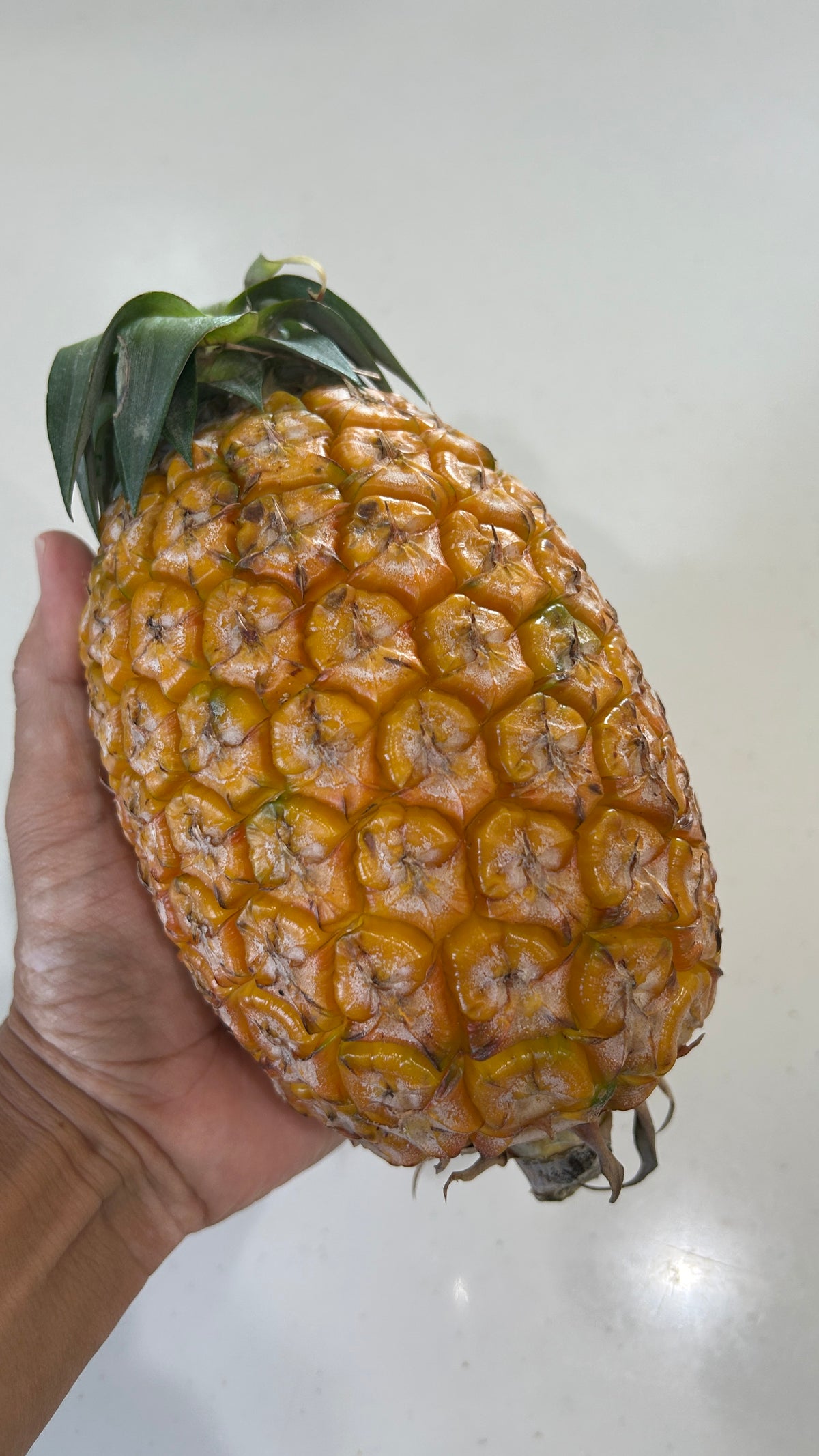 西表島のサンドルチェ