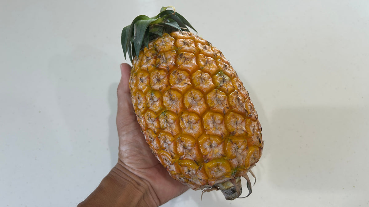 西表島のサンドルチェ