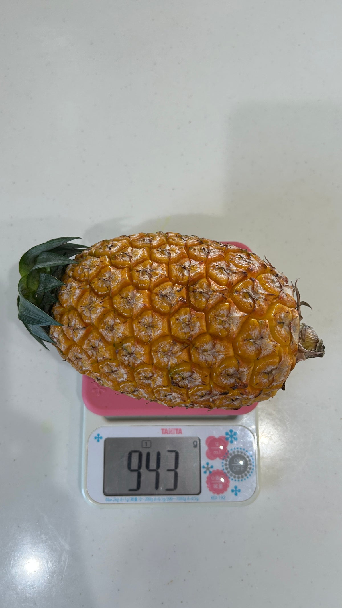 西表島のサンドルチェ