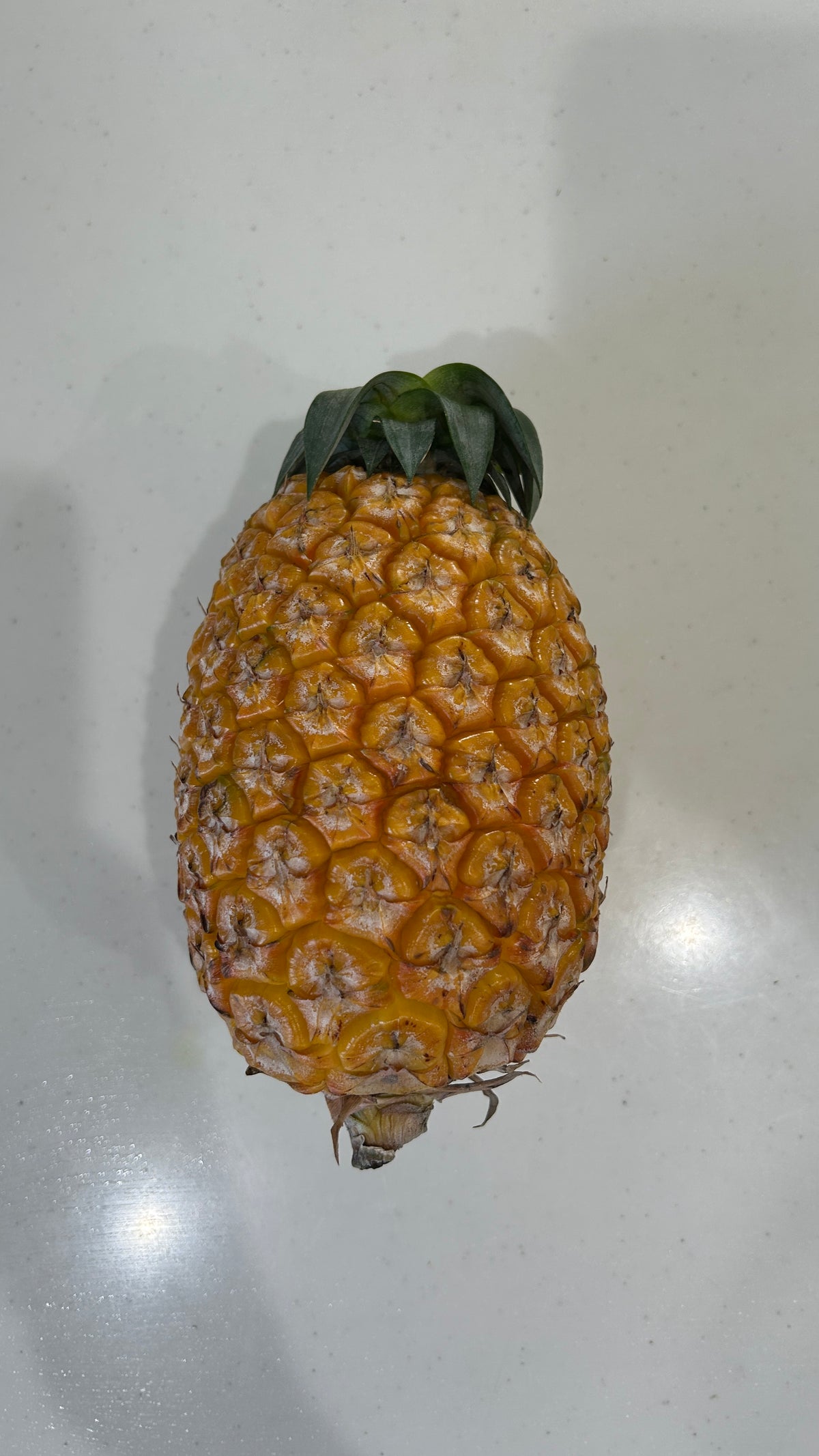 西表島のサンドルチェ