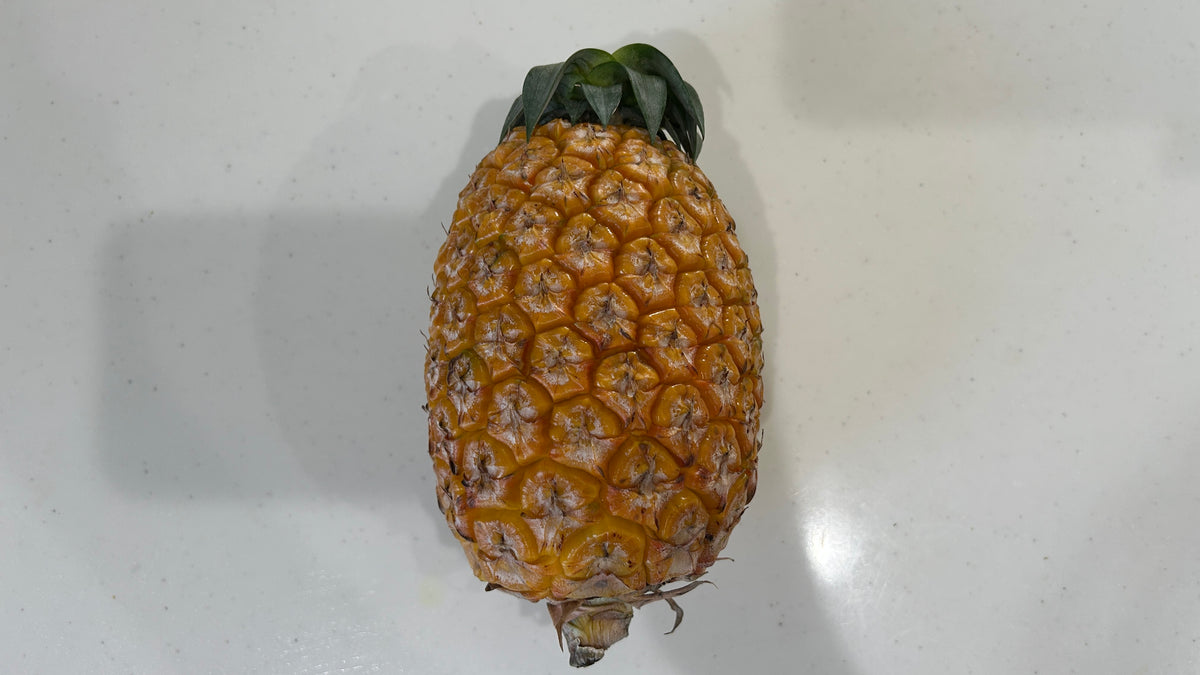 西表島のサンドルチェ