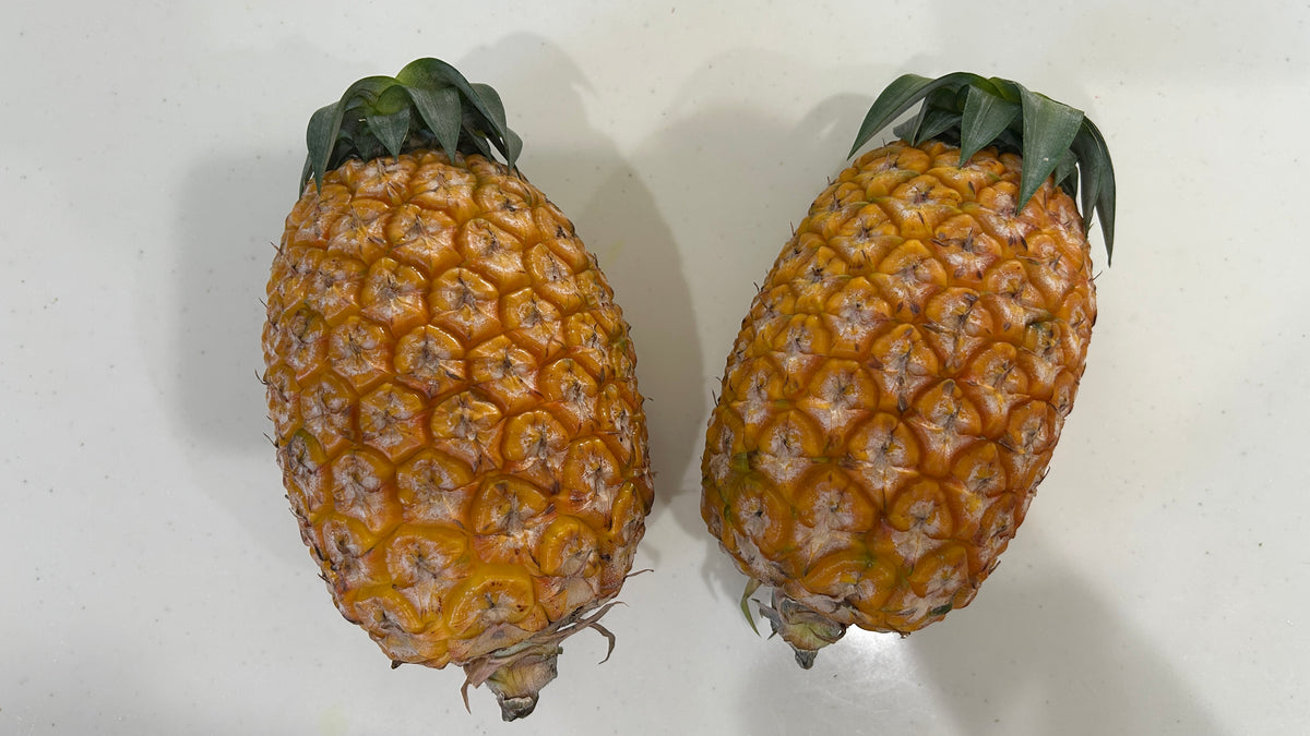 西表島のサンドルチェ