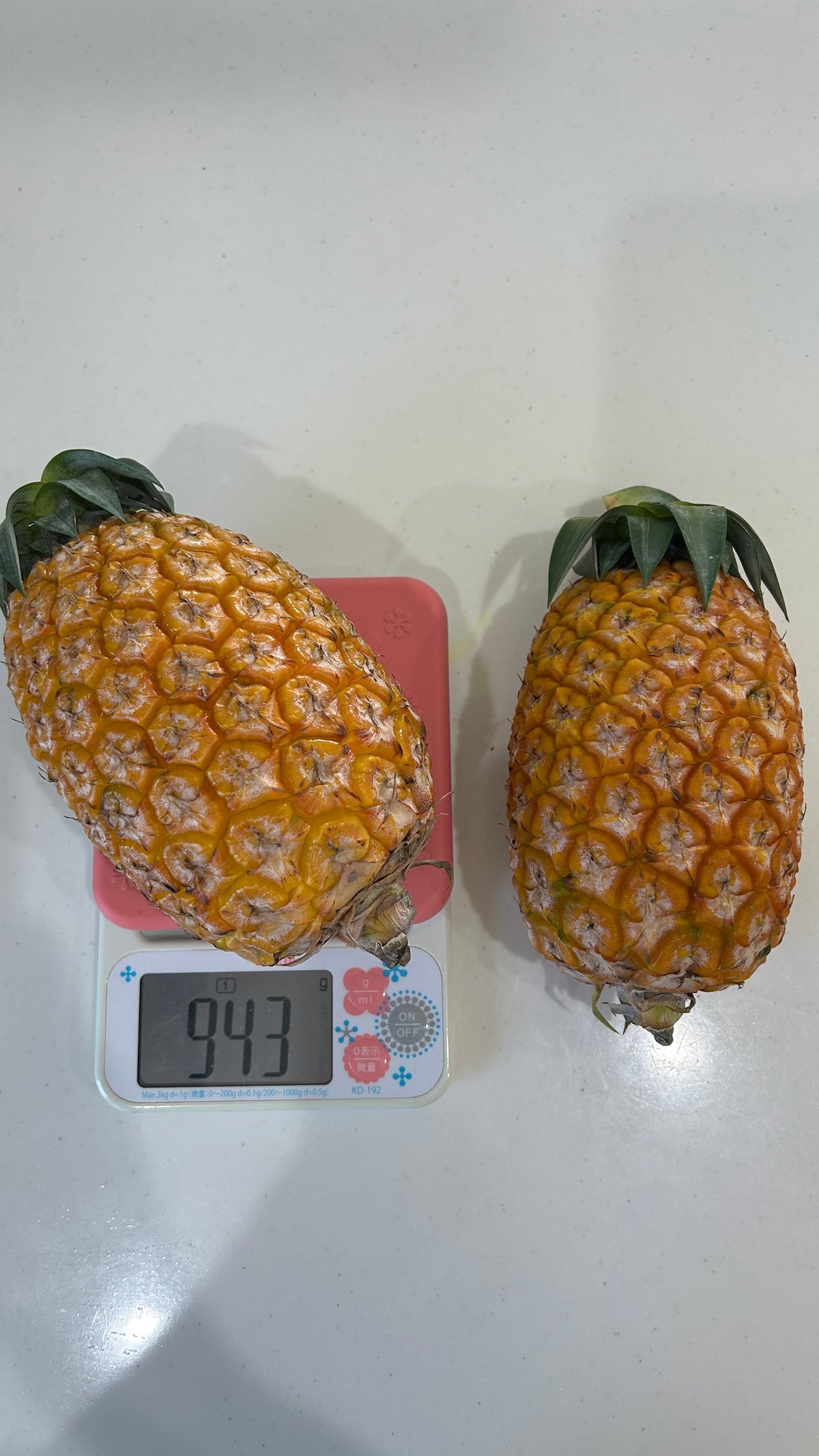 西表島のサンドルチェ