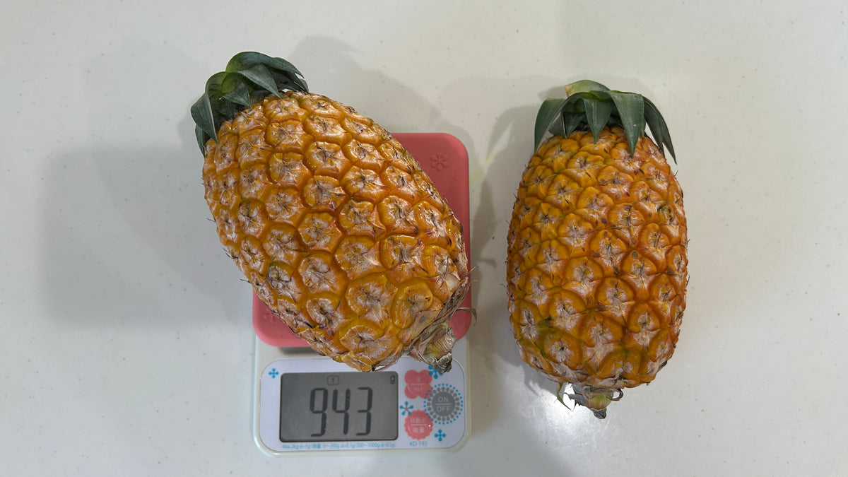 西表島のサンドルチェ