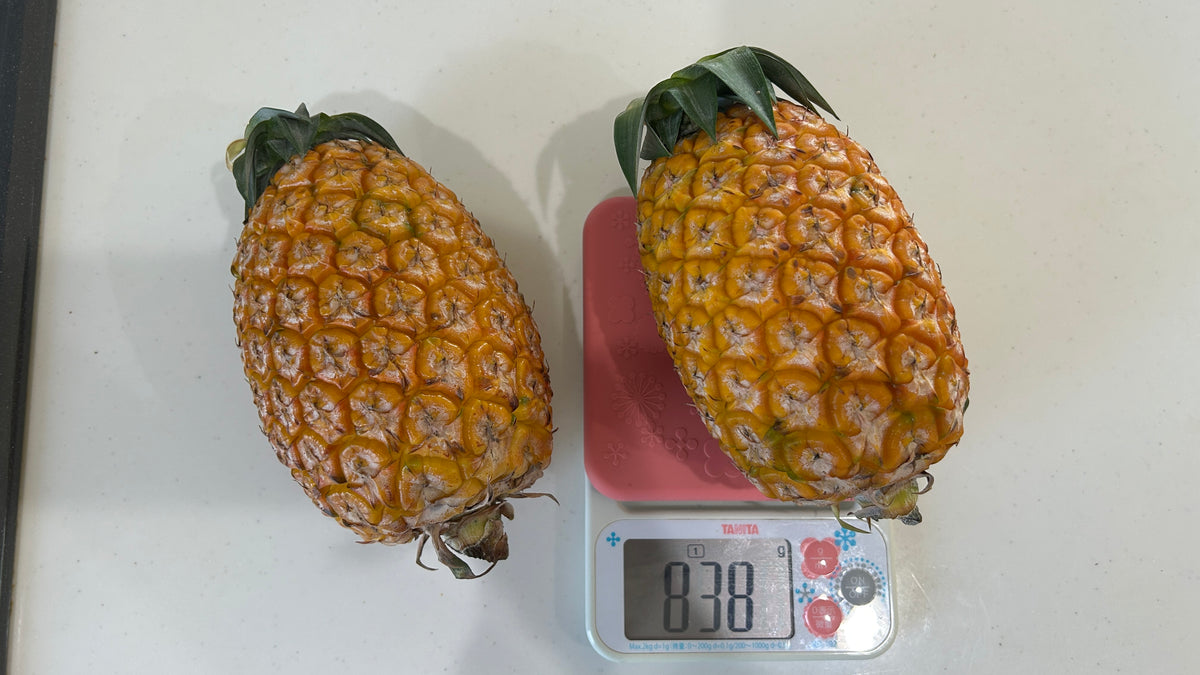 西表島のサンドルチェ