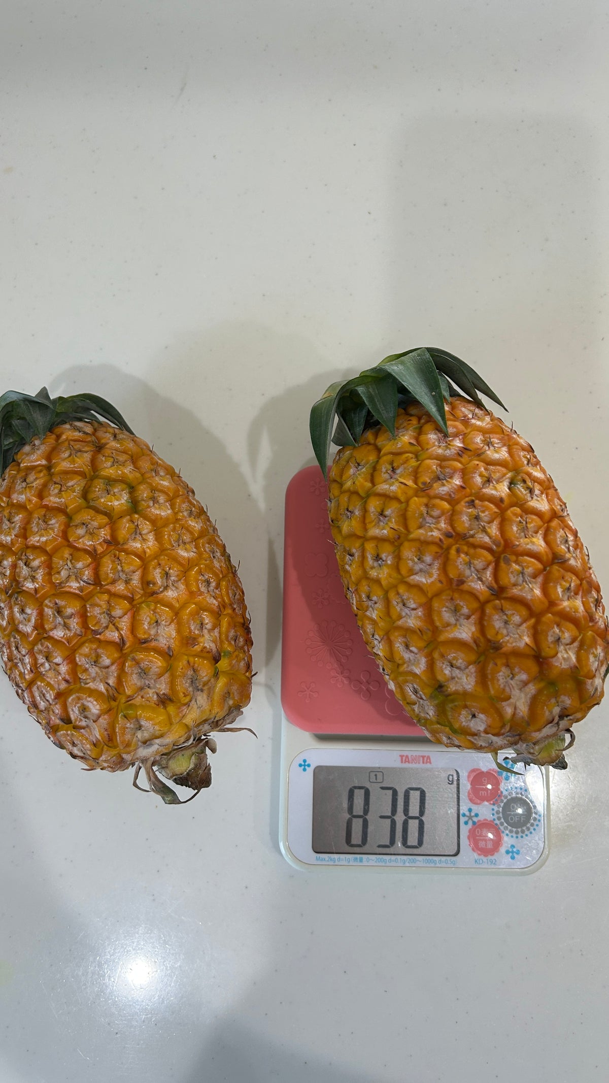 西表島のサンドルチェ