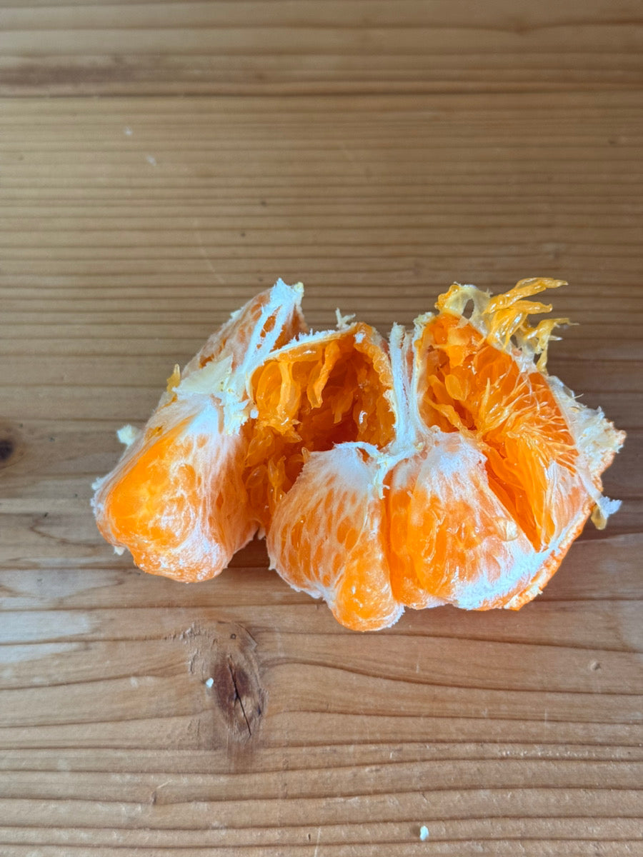 【ラストセール・訳あり】甘平みかん（愛媛県中島産）