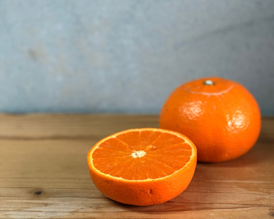 【訳あり】中島のせとか※3月中旬頃〜配送開始予定