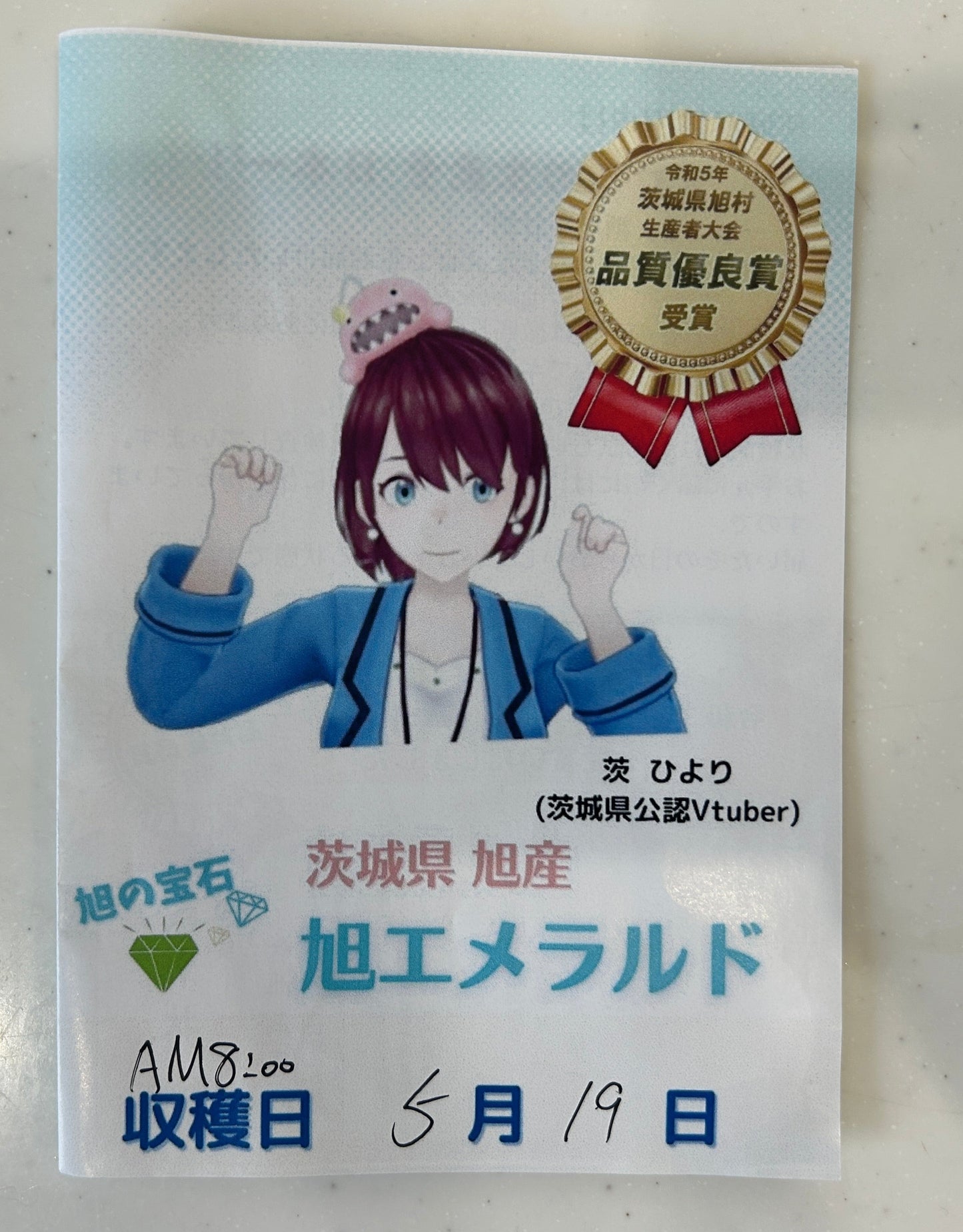 【贈答用】長洲さんのアンデスメロン