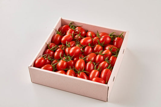 【贈答用】【糖度8度以上】熊本県のアイコトマト【冷蔵便】