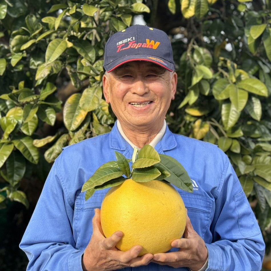 保本さんの晩白柚（瀬戸内安芸津産）
