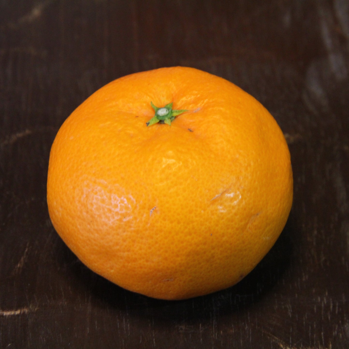 【ラストセール】中島のはれひめ