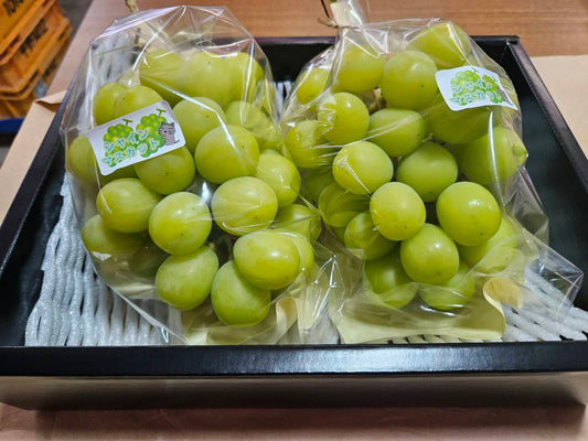 福島県産のシャインマスカット