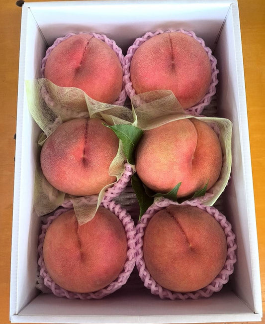 【贈答用】ゆうくんの川中島白桃