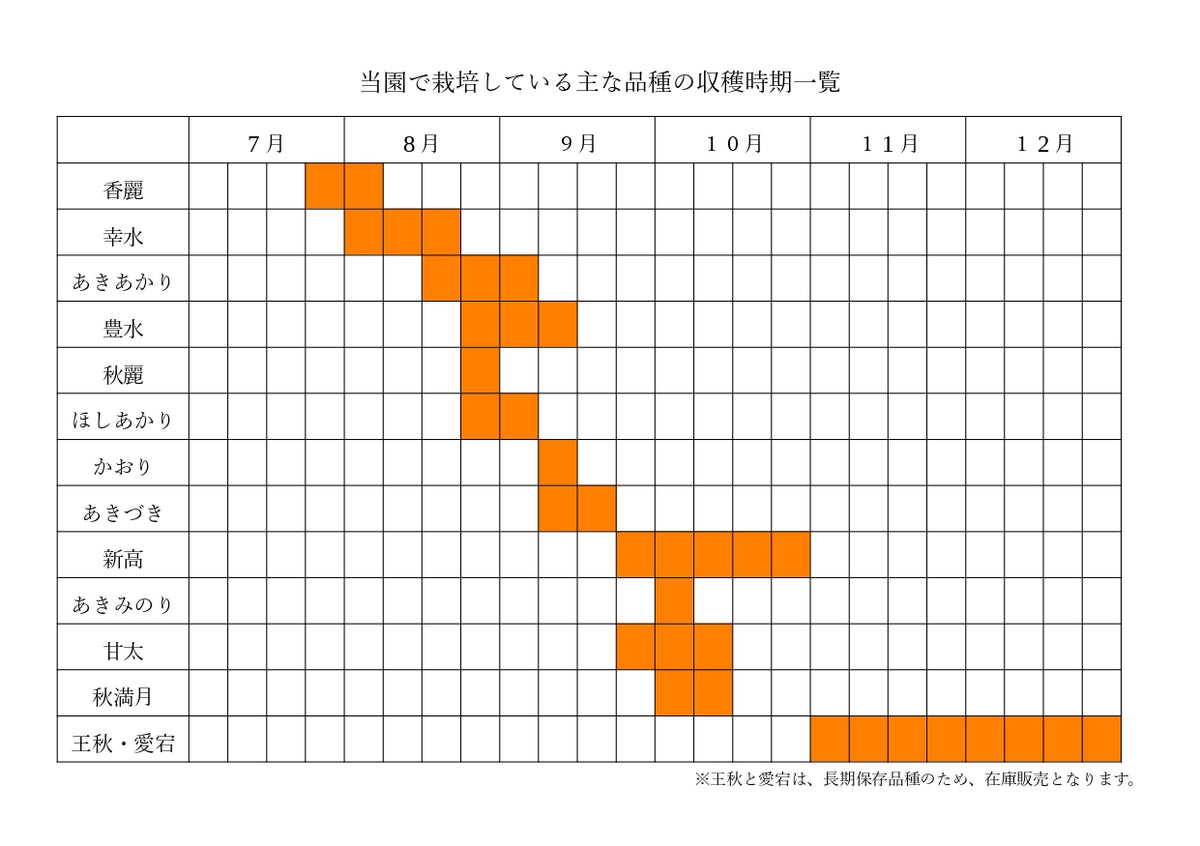 【秀品】村越さんの新高※10月上中旬頃〜配送開始
