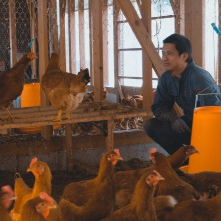 東広島こい地鶏半身セット （もも・むね・ささみ）